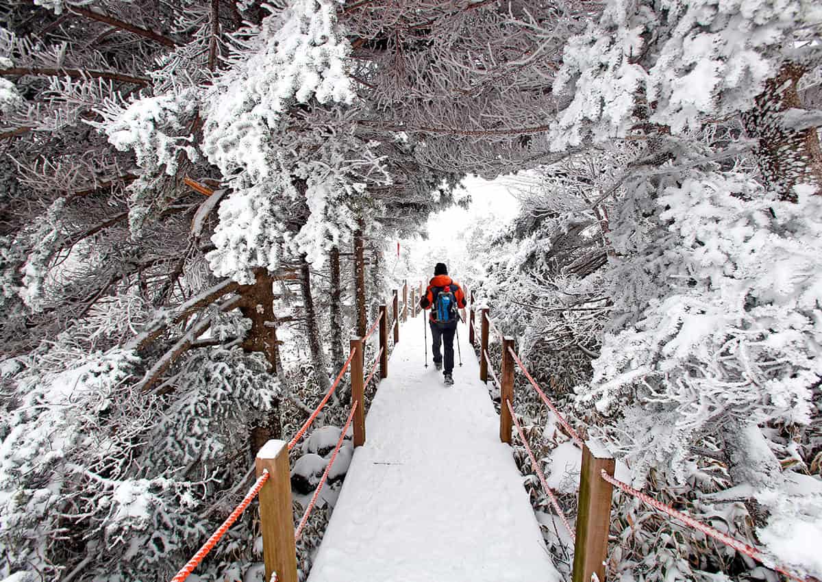 한라산 등산