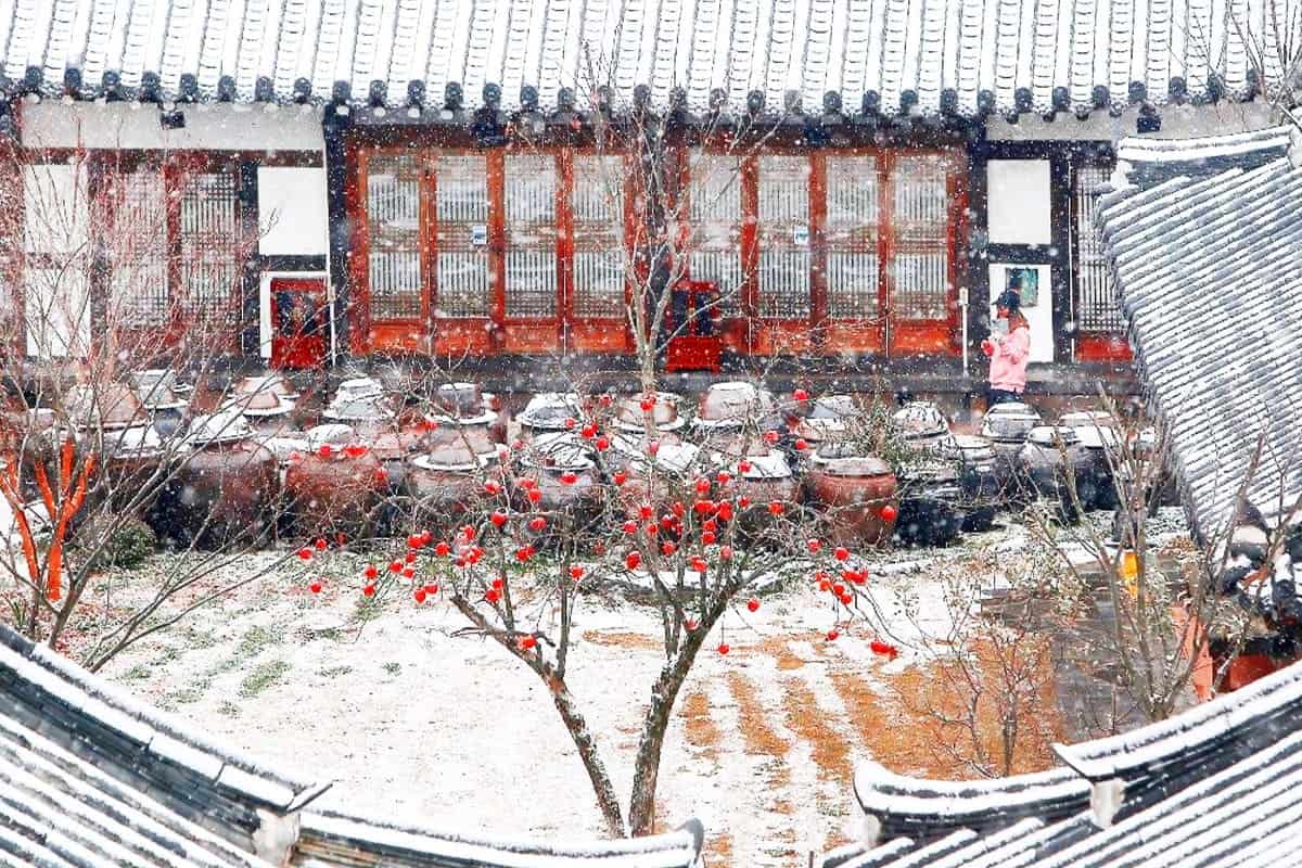동락원 설경