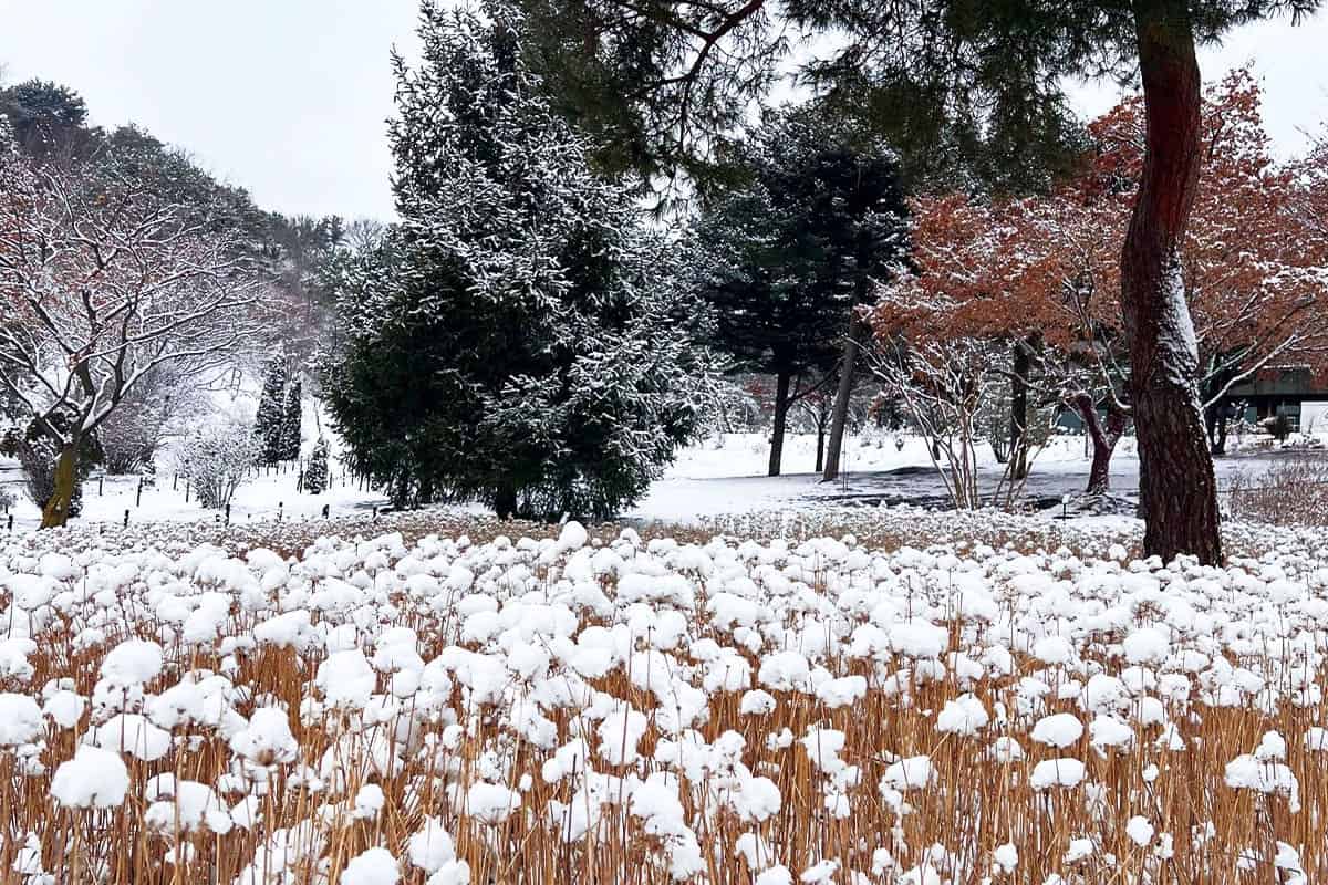산들소리 겨울 풍경 산들소리 겨울 풍경