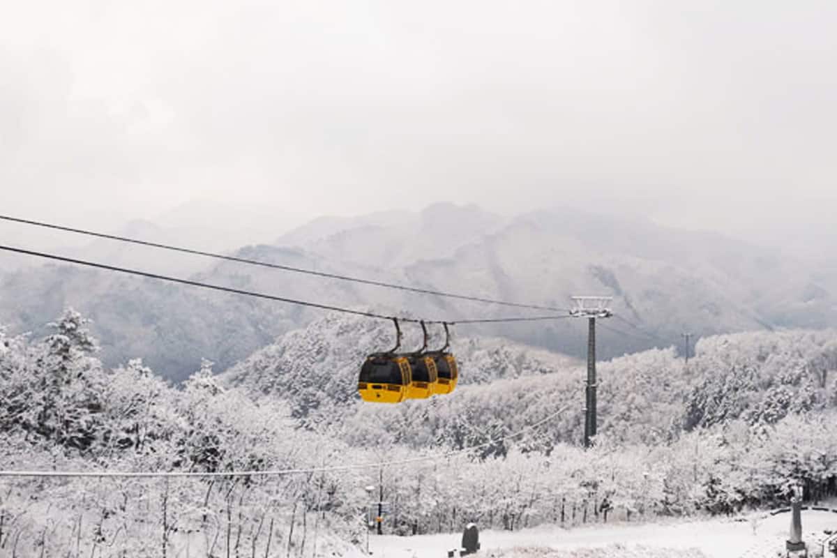 태백산 365 케이블카 태백산 365 케이블카