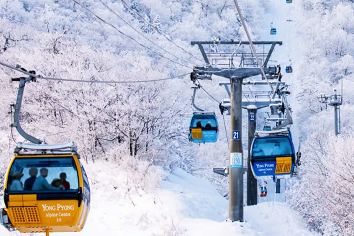 발왕산 케이블카 발왕산 케이블카