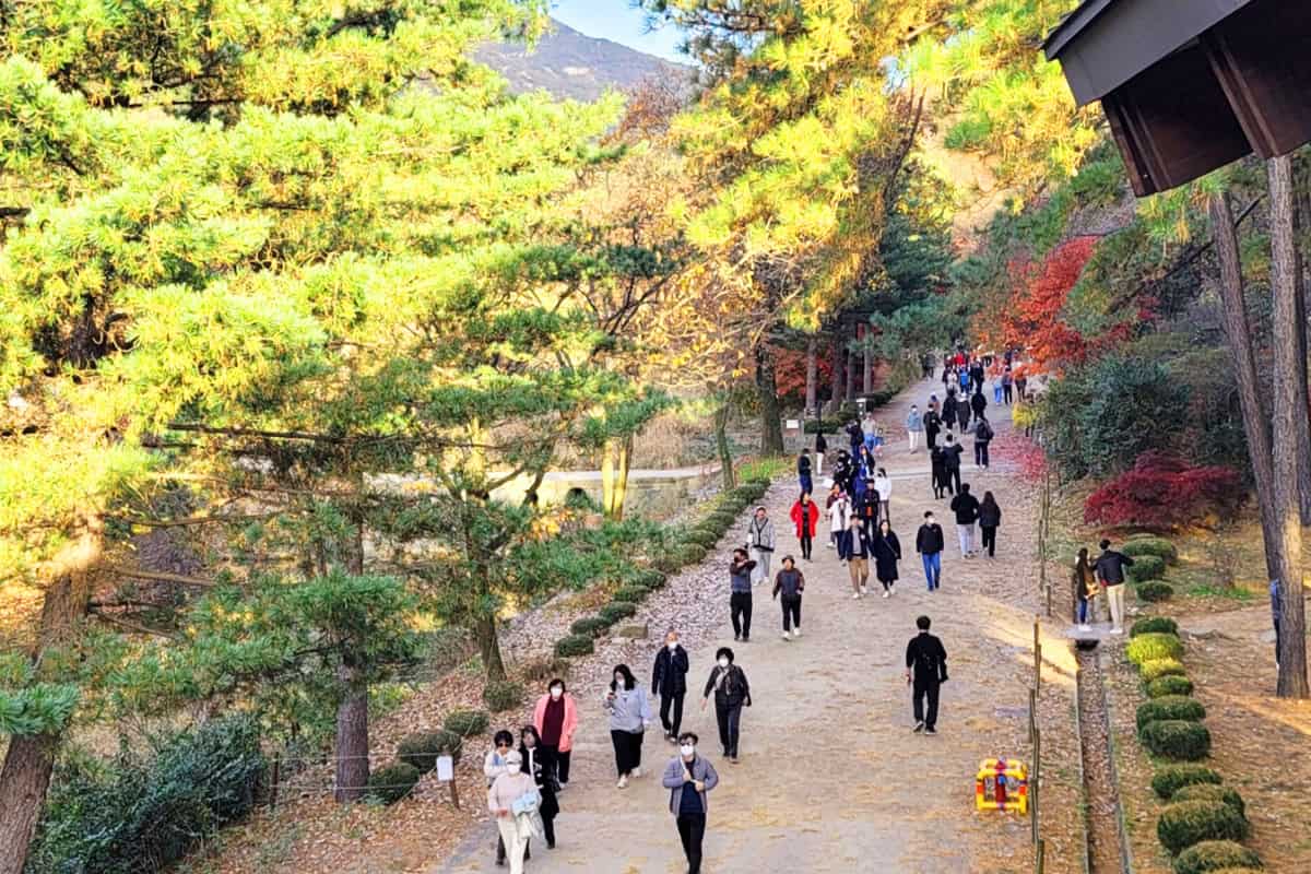안양 관악수목원 안양 관악수목원