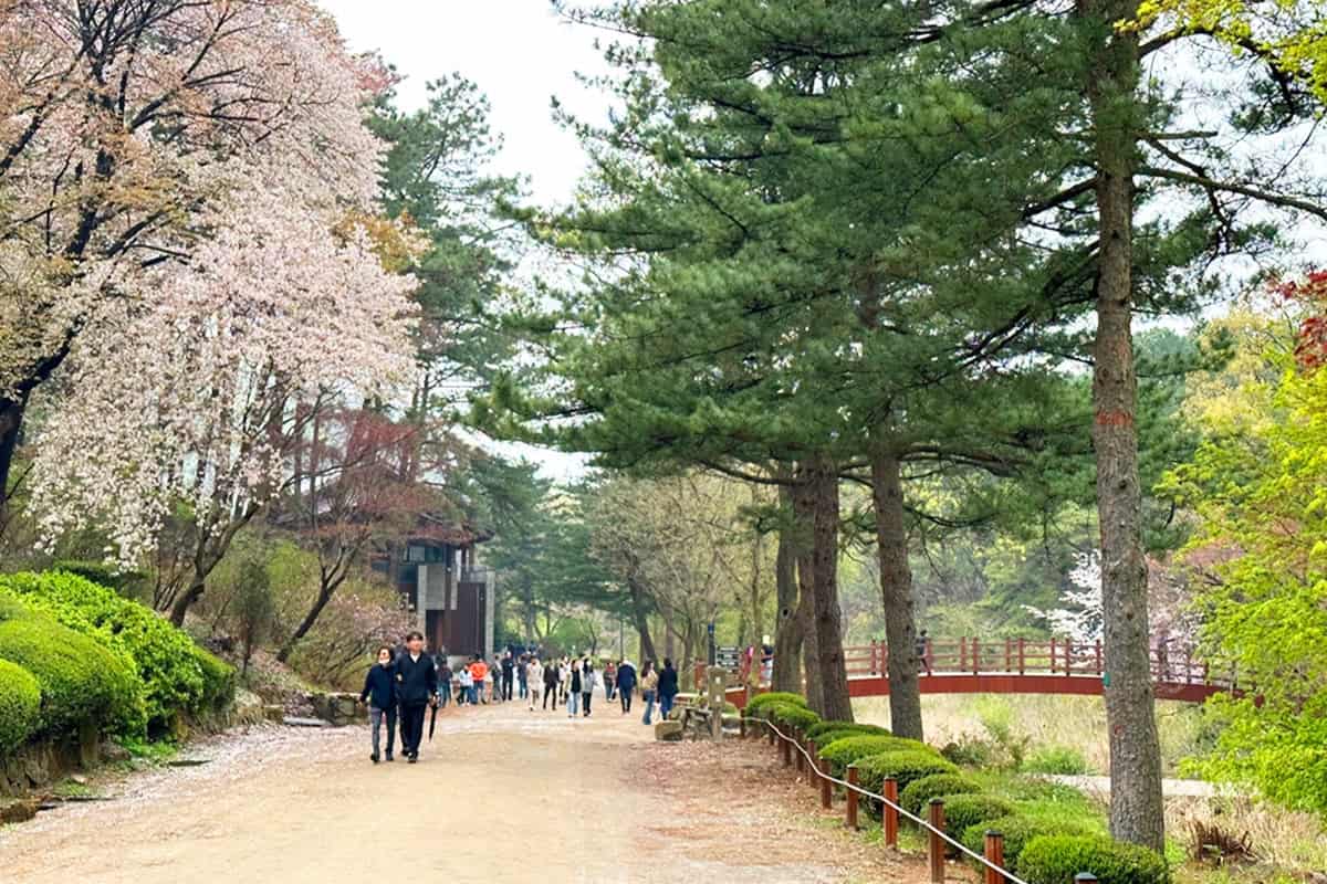 안양 관악수목원 풍경 안양 관악수목원 풍경