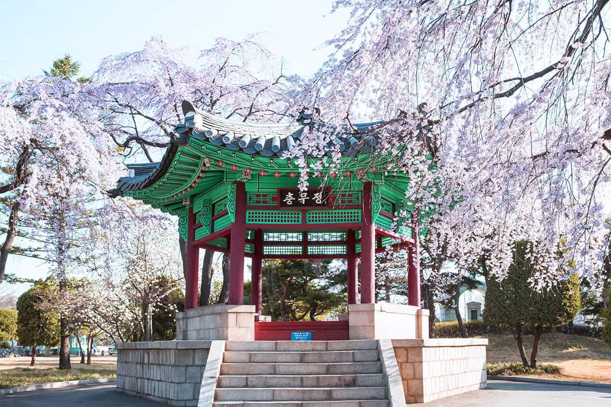 아산 현충사 봄 아산 현충사 봄