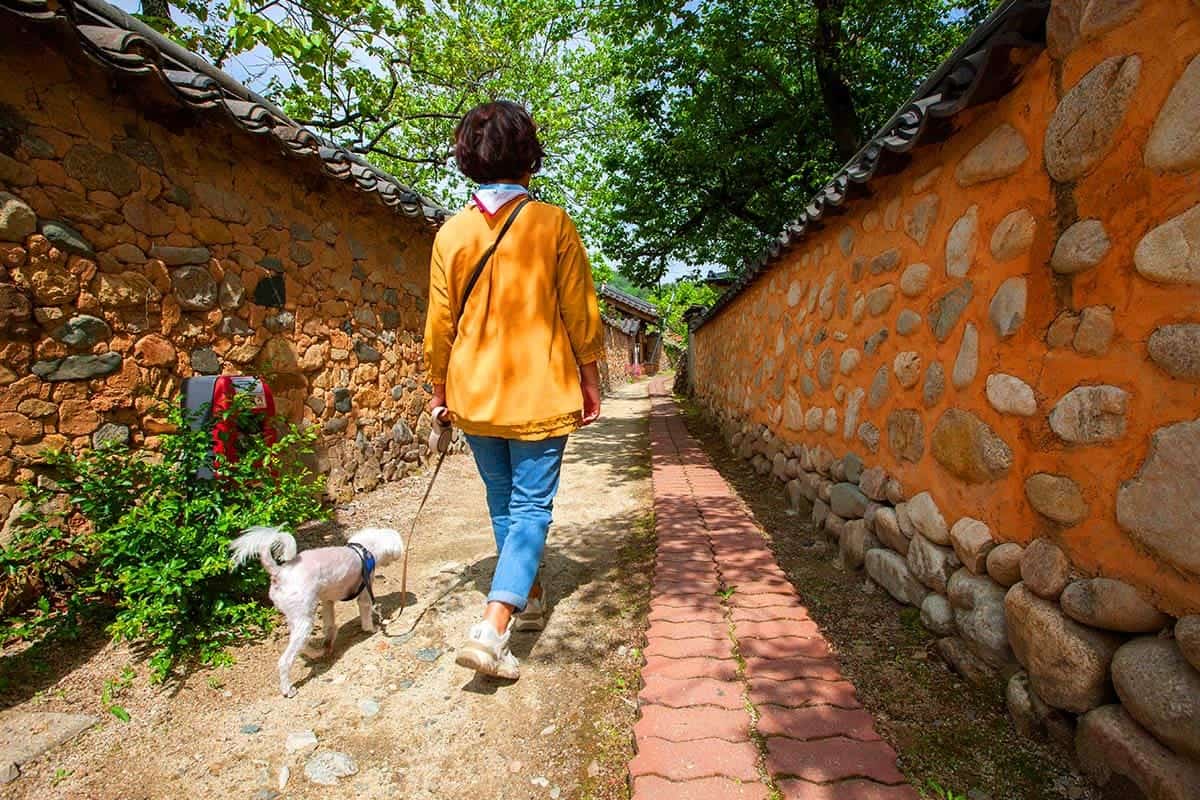 남사예담촌 산책