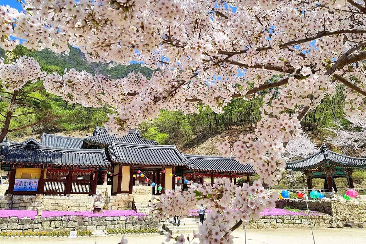 춘천 청평사 춘천 청평사