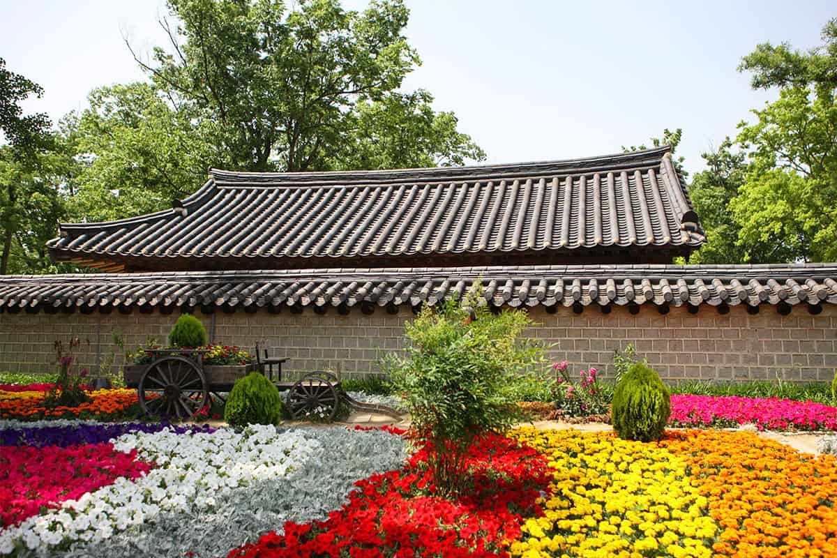 전주 한옥 마을의 봄 전주 한옥 마을의 봄