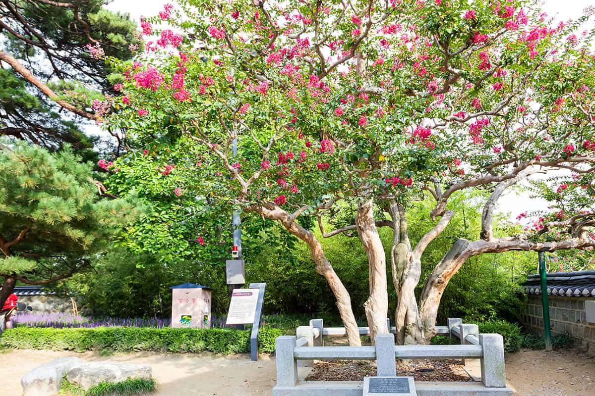 강릉 오죽헌 강릉 오죽헌