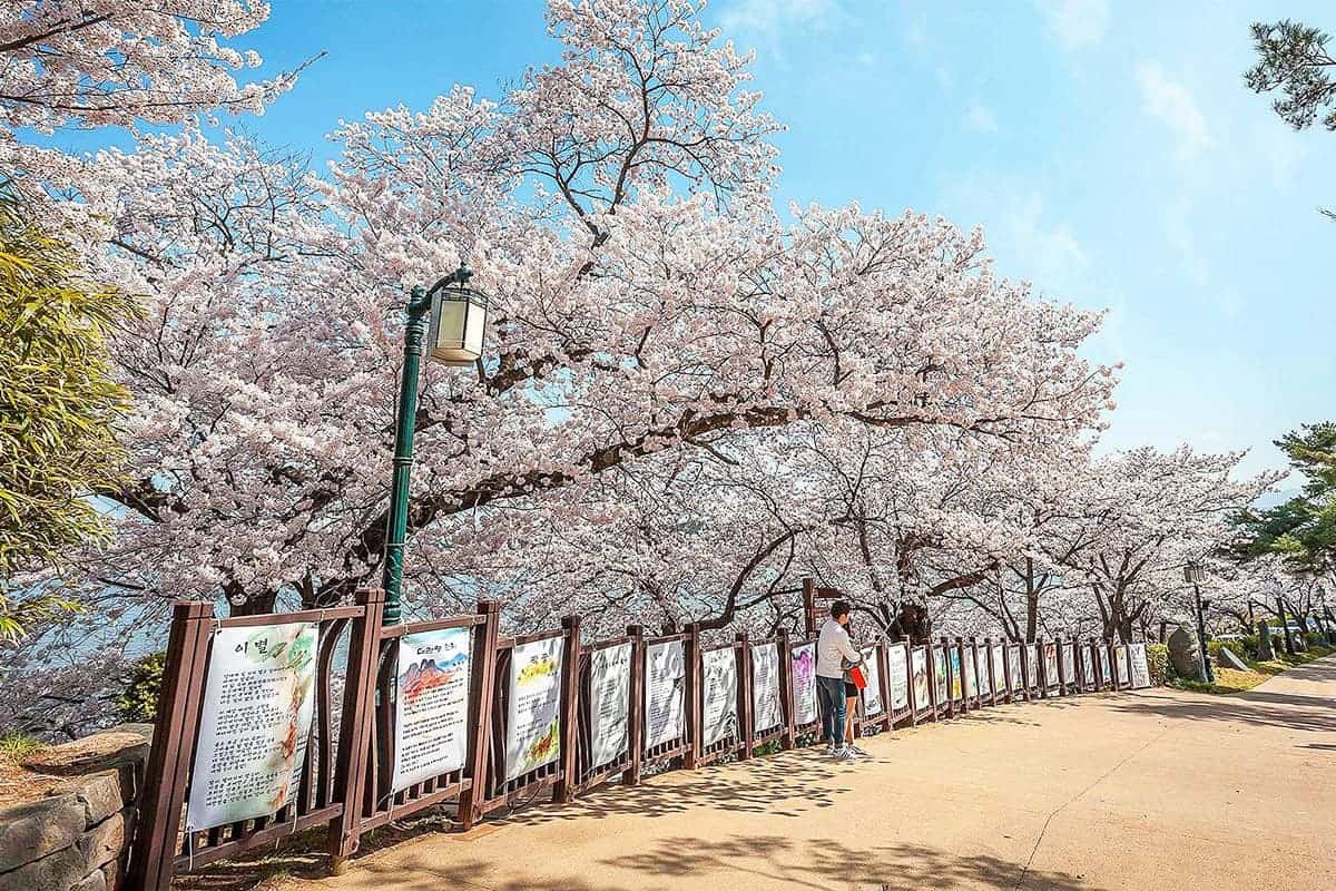 강릉 심사임당 길 강릉 심사임당 길