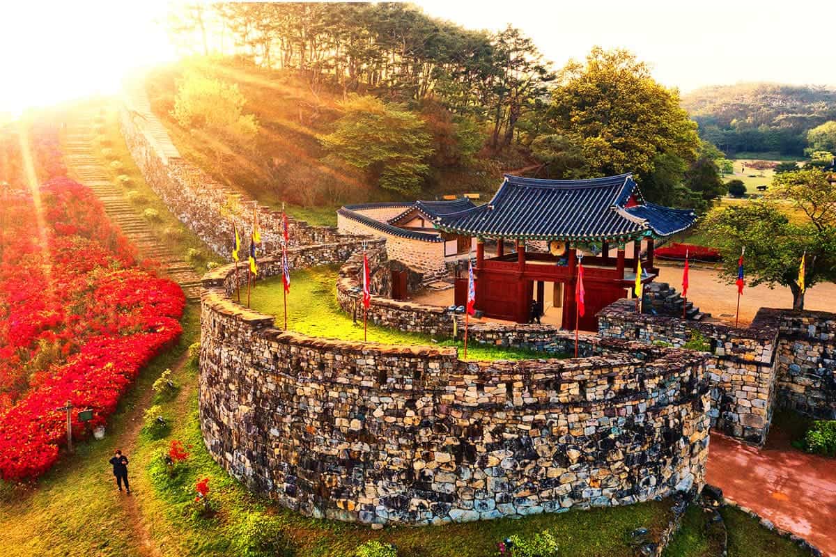 고창읍성 철쭉 고창읍성 철쭉