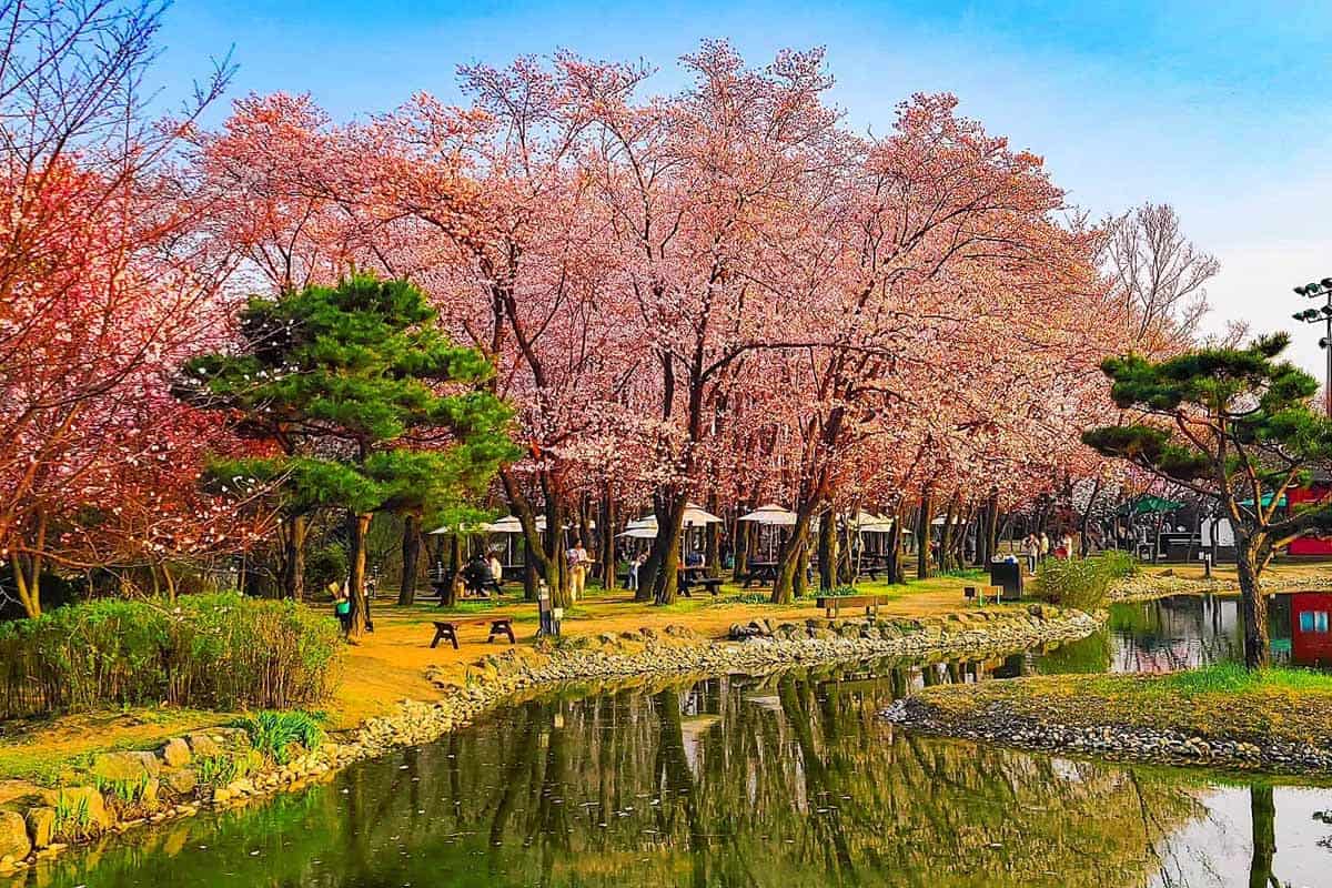 플랜테이션베이커리카페 봄 정원