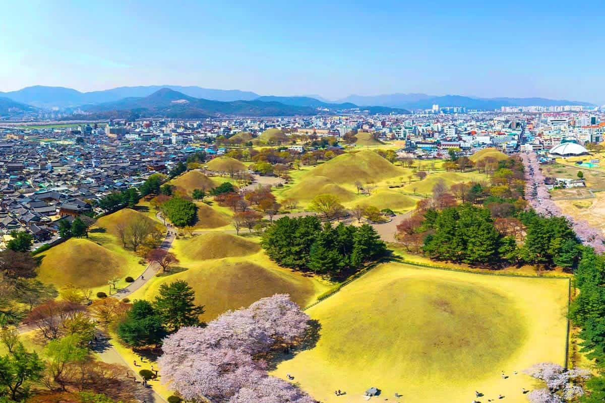 대릉원 봄 전경 
