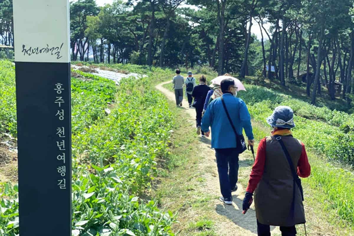 홍주성천년여행길 홍주성천년여행길