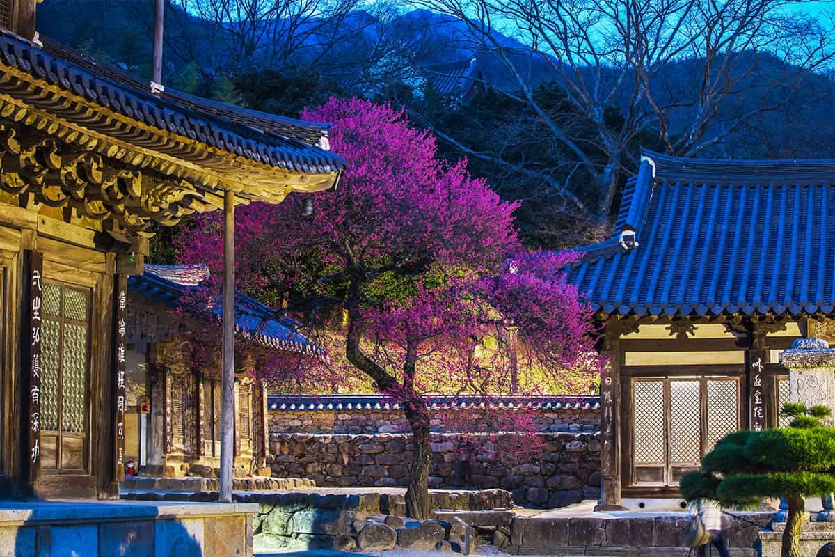 화암사 야경