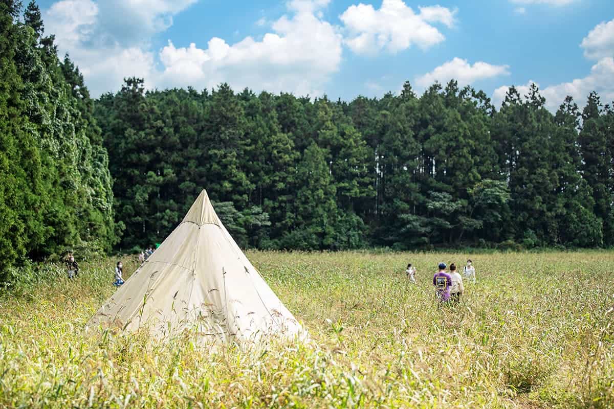안돌오름 비밀의숲 안돌오름 비밀의숲