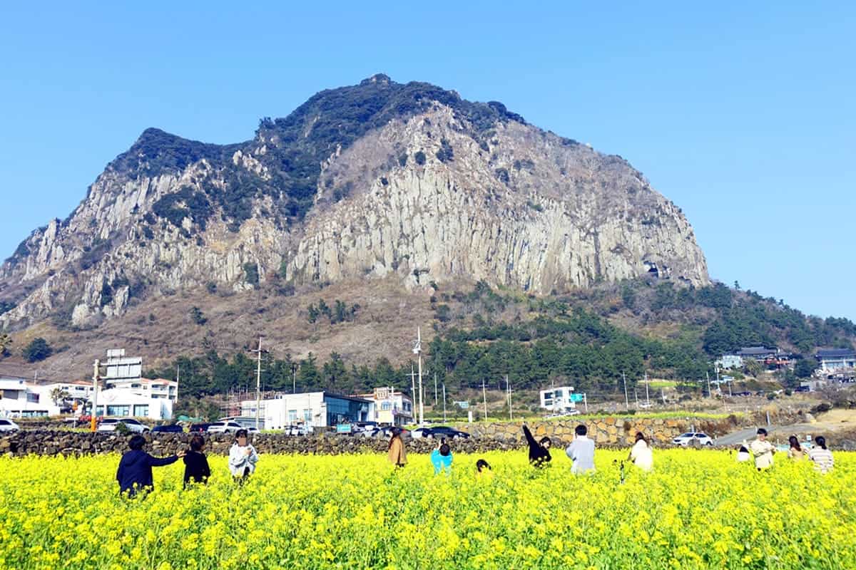 제주도 산방산 제주도 산방산
