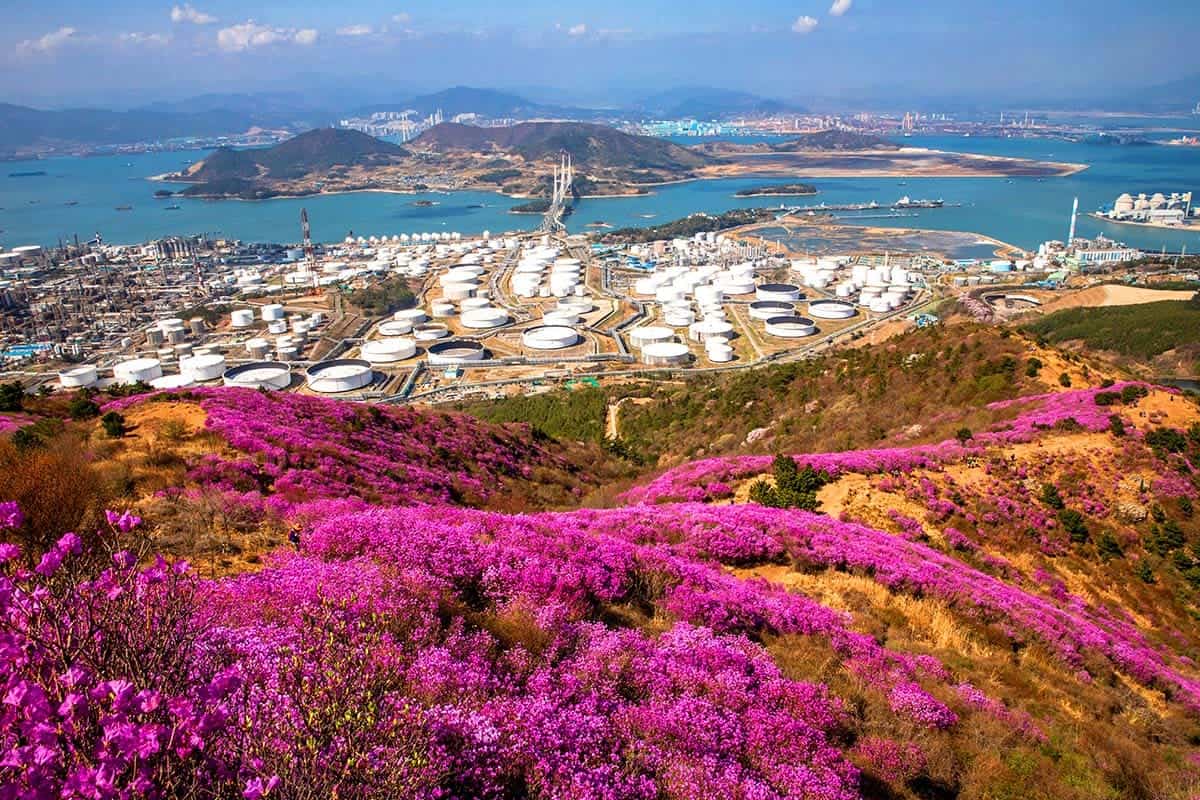 영취산 여수 바다뷰