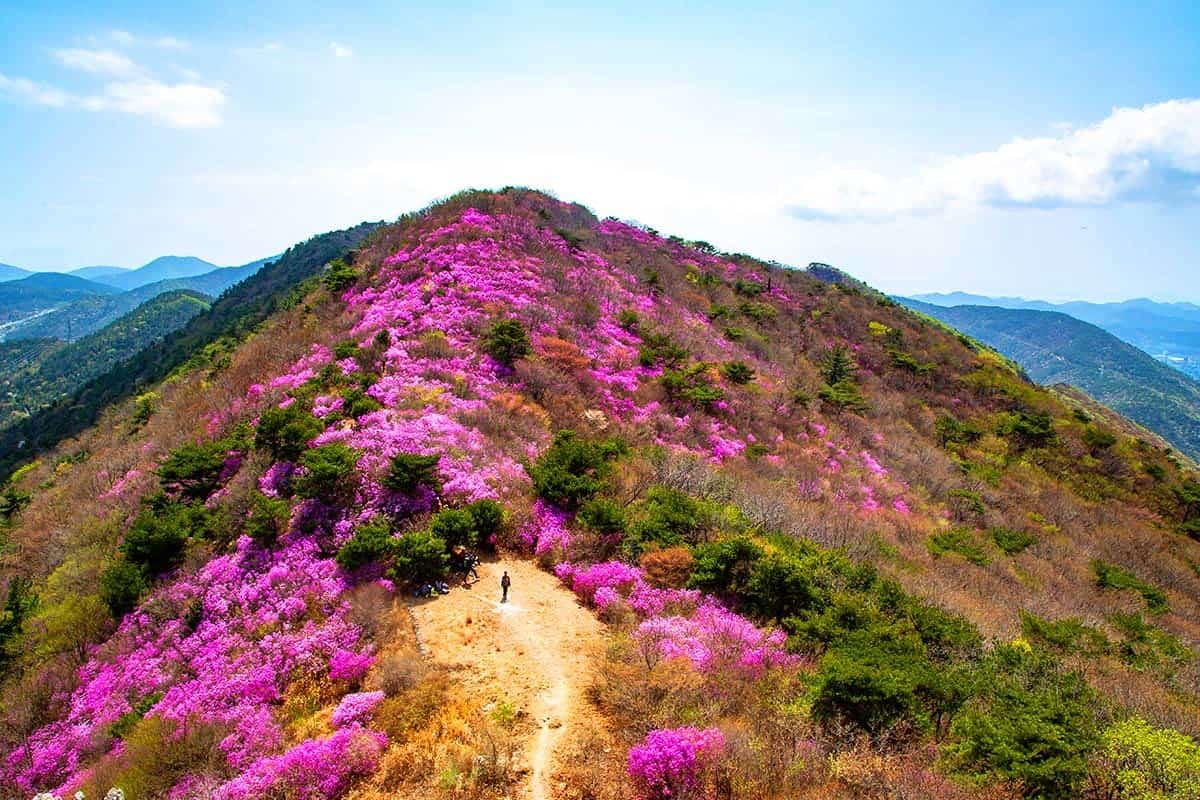 영취산 등산로 