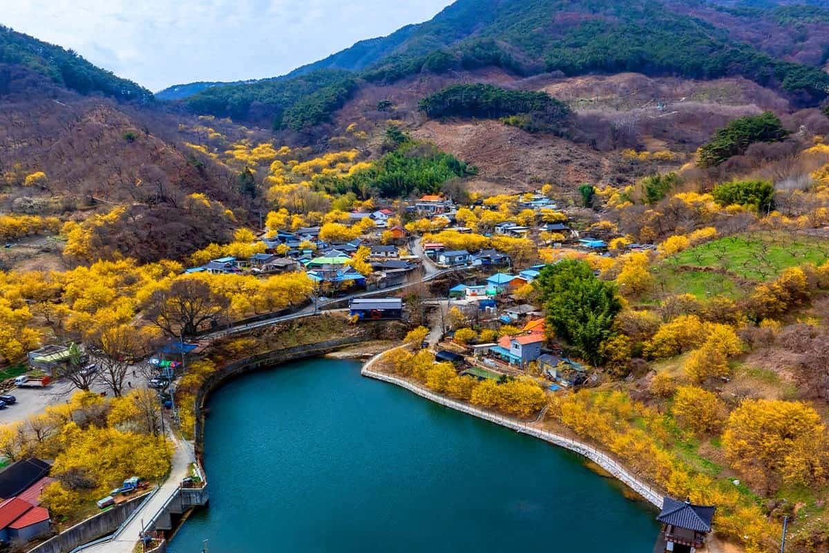 현천마을 봄 전경