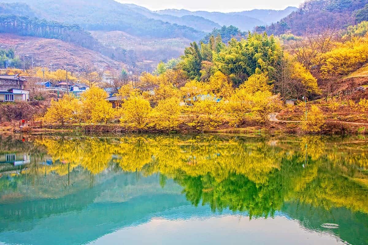 현천마을 저수지 봄 풍경