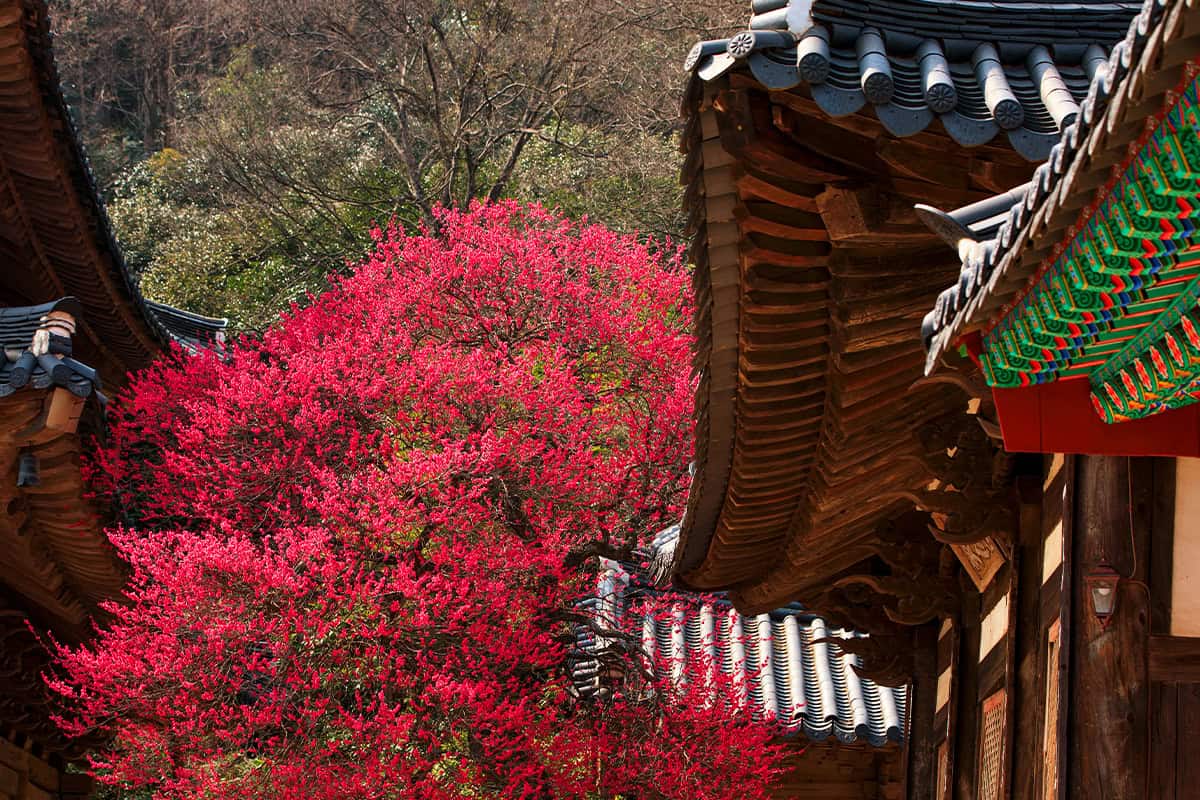 구례 화엄사 구례 화엄사