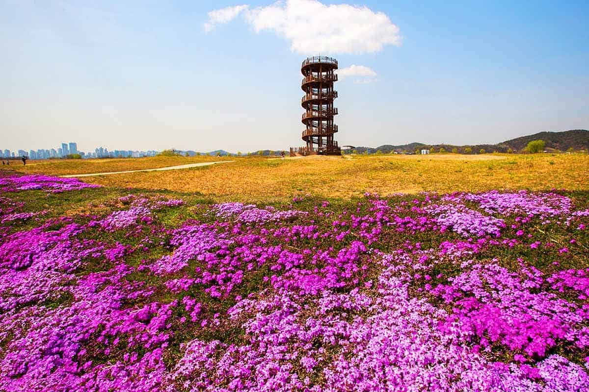 갯골생태공원 봄 풍경