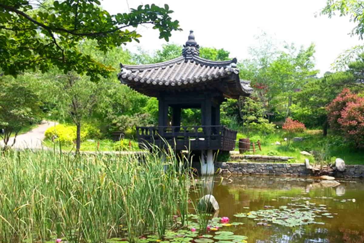 태안 안면도자연휴양림 태안 안면도자연휴양림