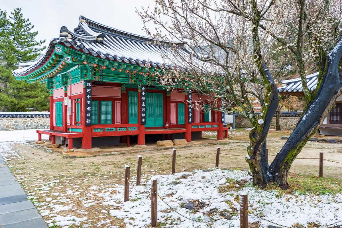 산청 산천재 남명매 산청 산천재 남명매