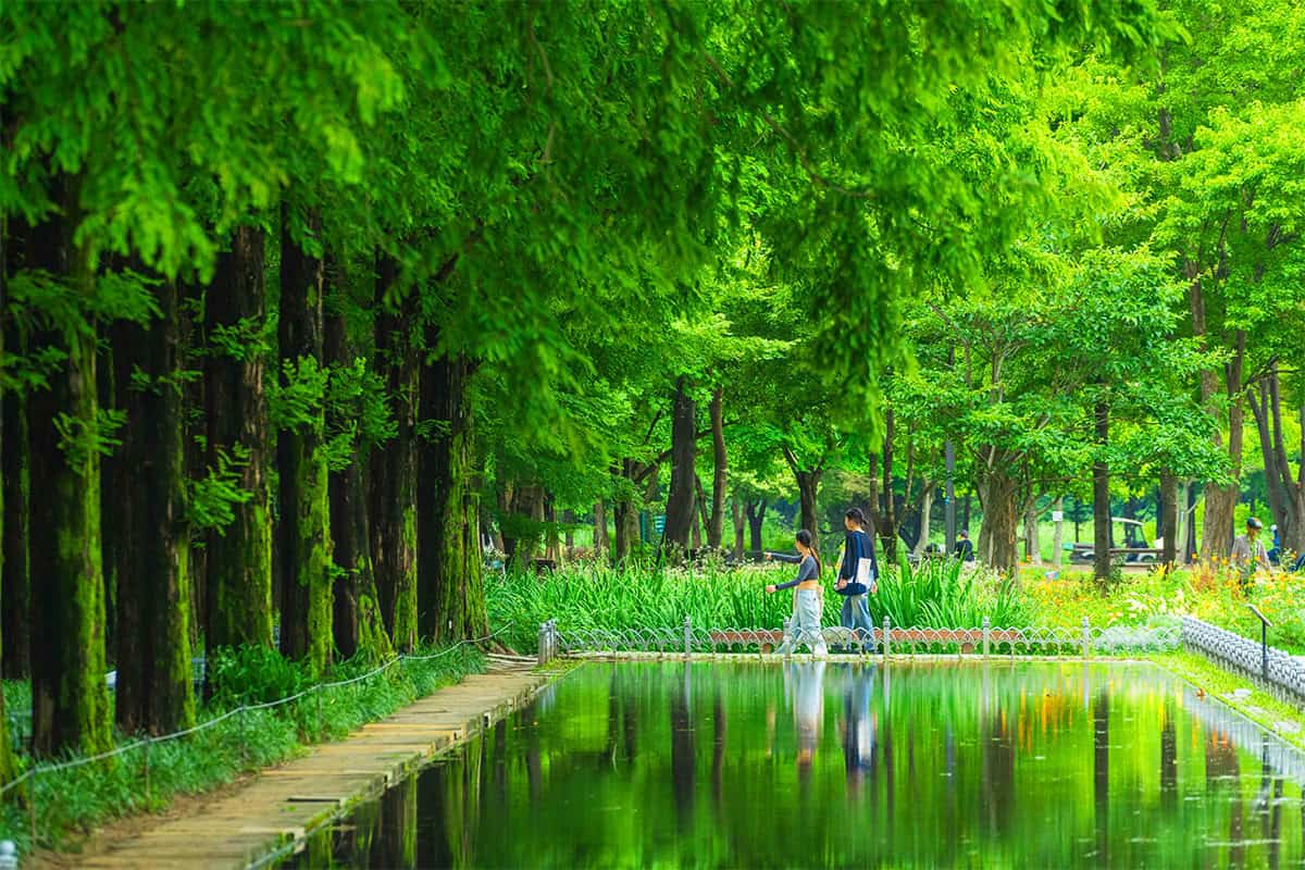 서울숲 서울숲
