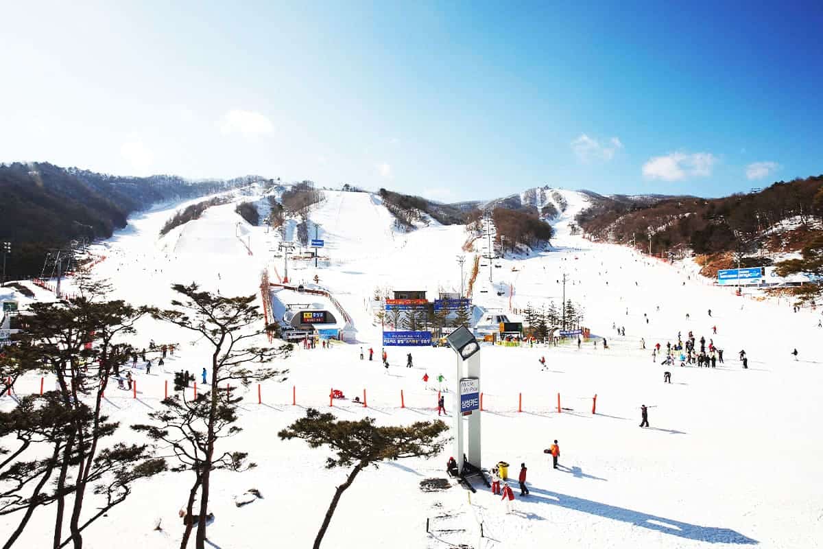 휘닉스 평창 전경 휘닉스 평창 전경