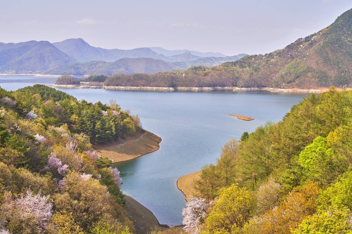 충주호