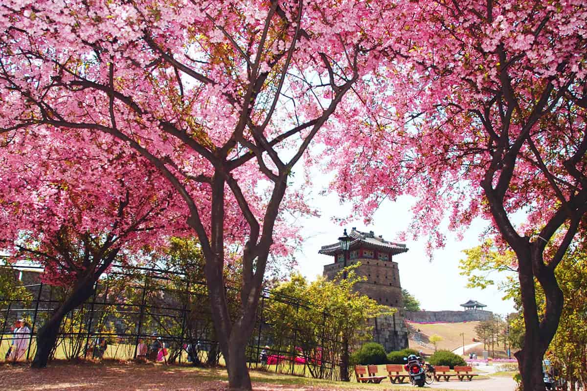 수원화성 수원화성