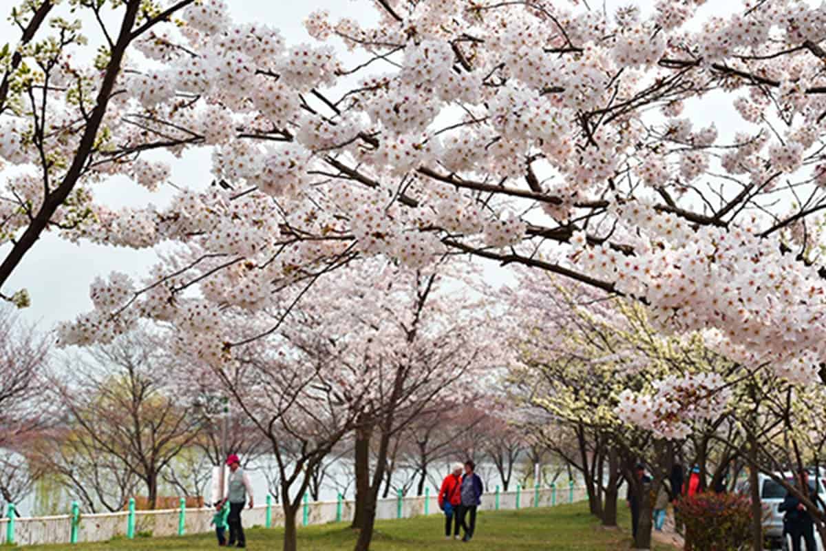 수원 서호천 수원 서호천