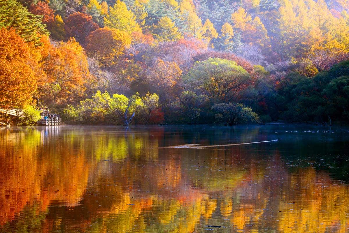 주왕산국립공원