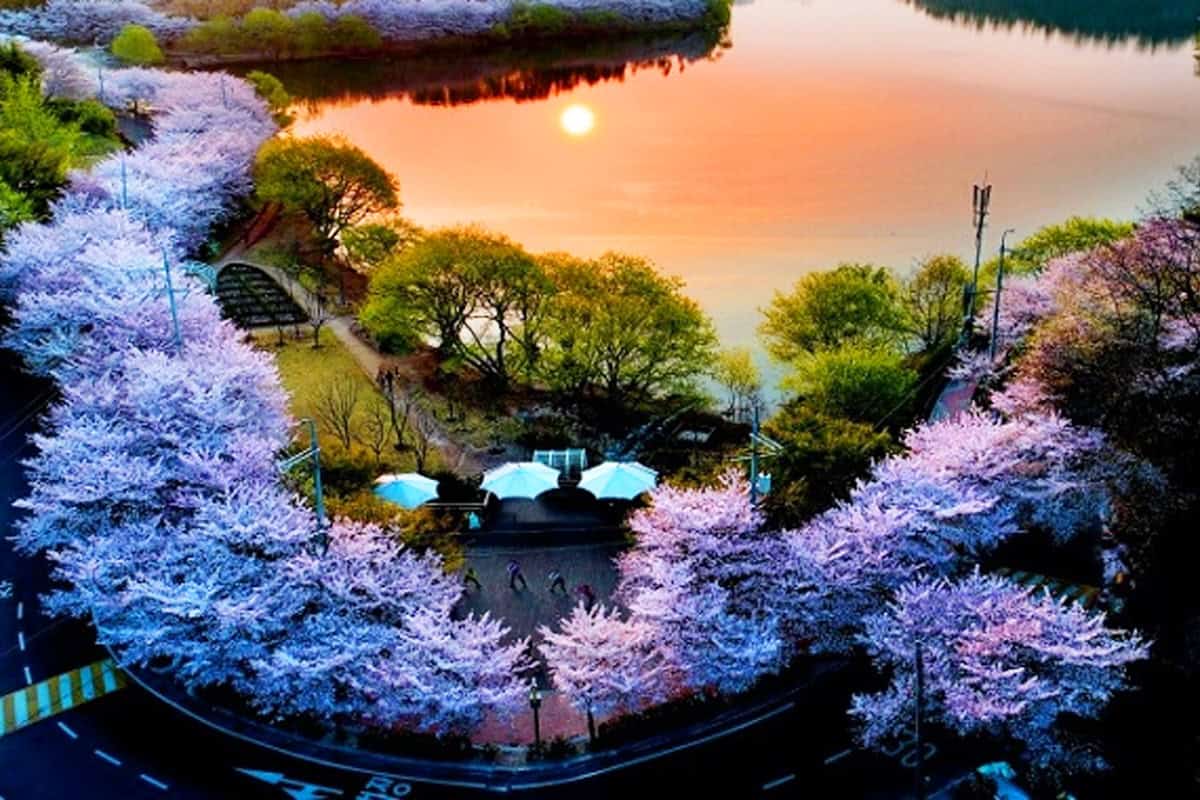 울산 선암호수공원