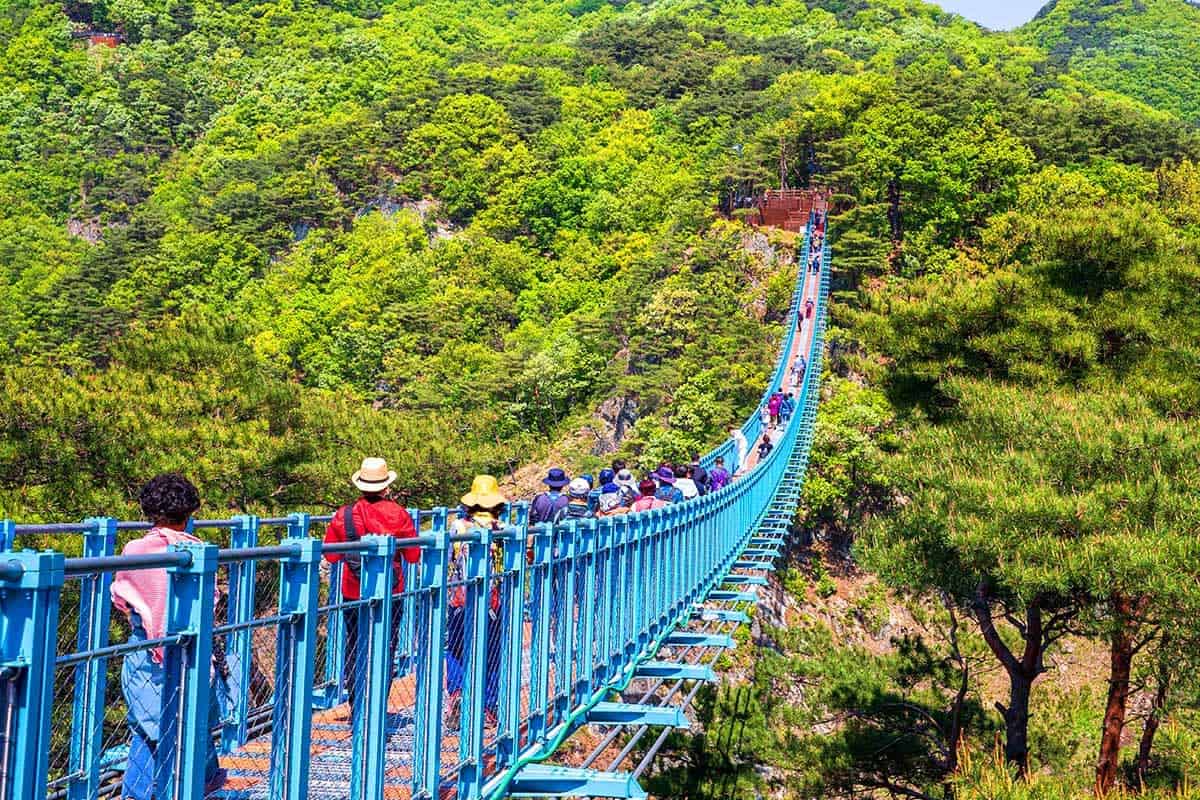 원주 간현관광지 산악보도교 원주 간현관광지 산악보도교