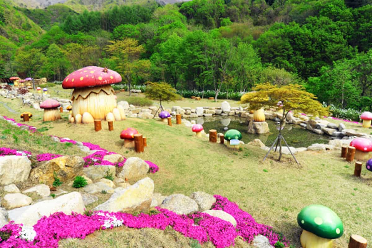양구 수목원 풍경 양구 수목원 풍경