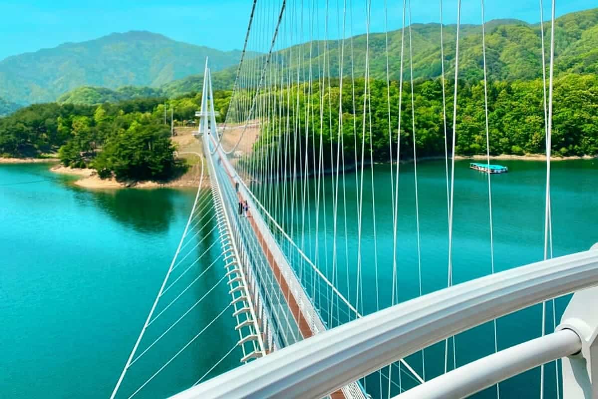 양구 상무룡 출렁다리 양구 상무룡 출렁다리