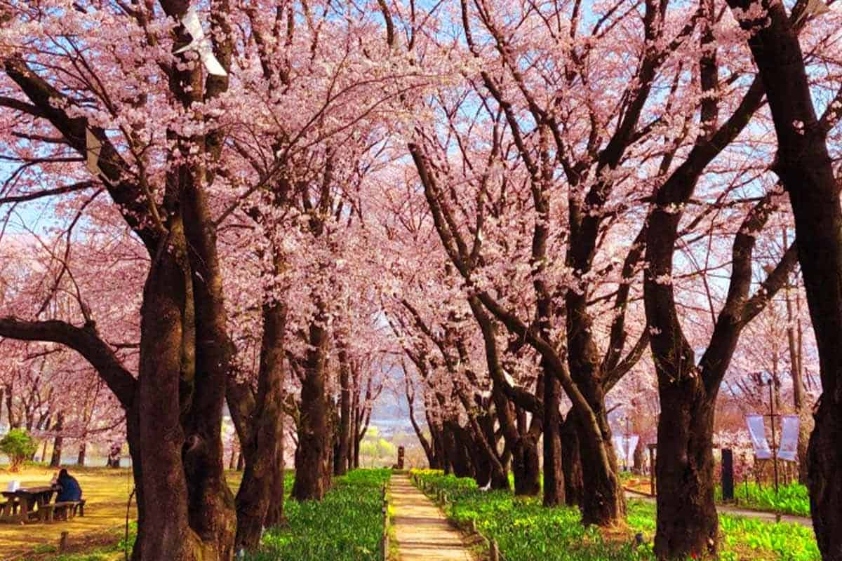 봄파머스가든 풍경