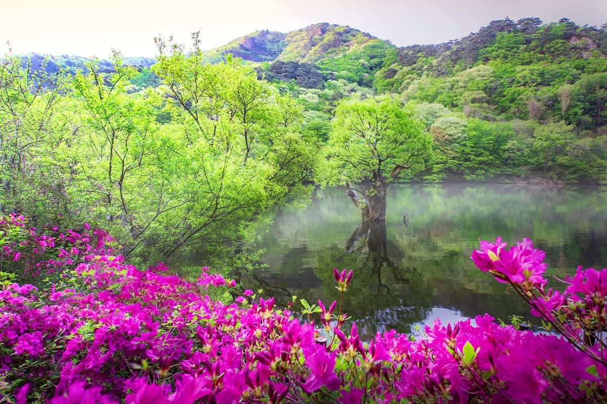 영덕 주왕산 영덕 주왕산
