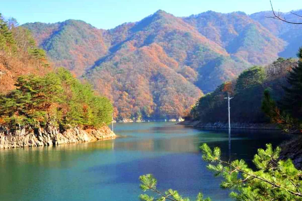 비수구미 계곡 비수구미 계곡