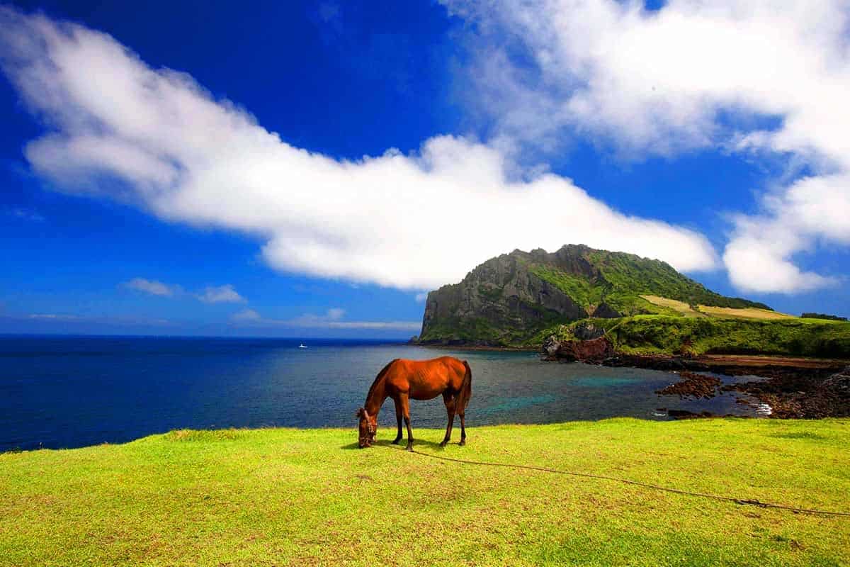 제주도 성산일출봉