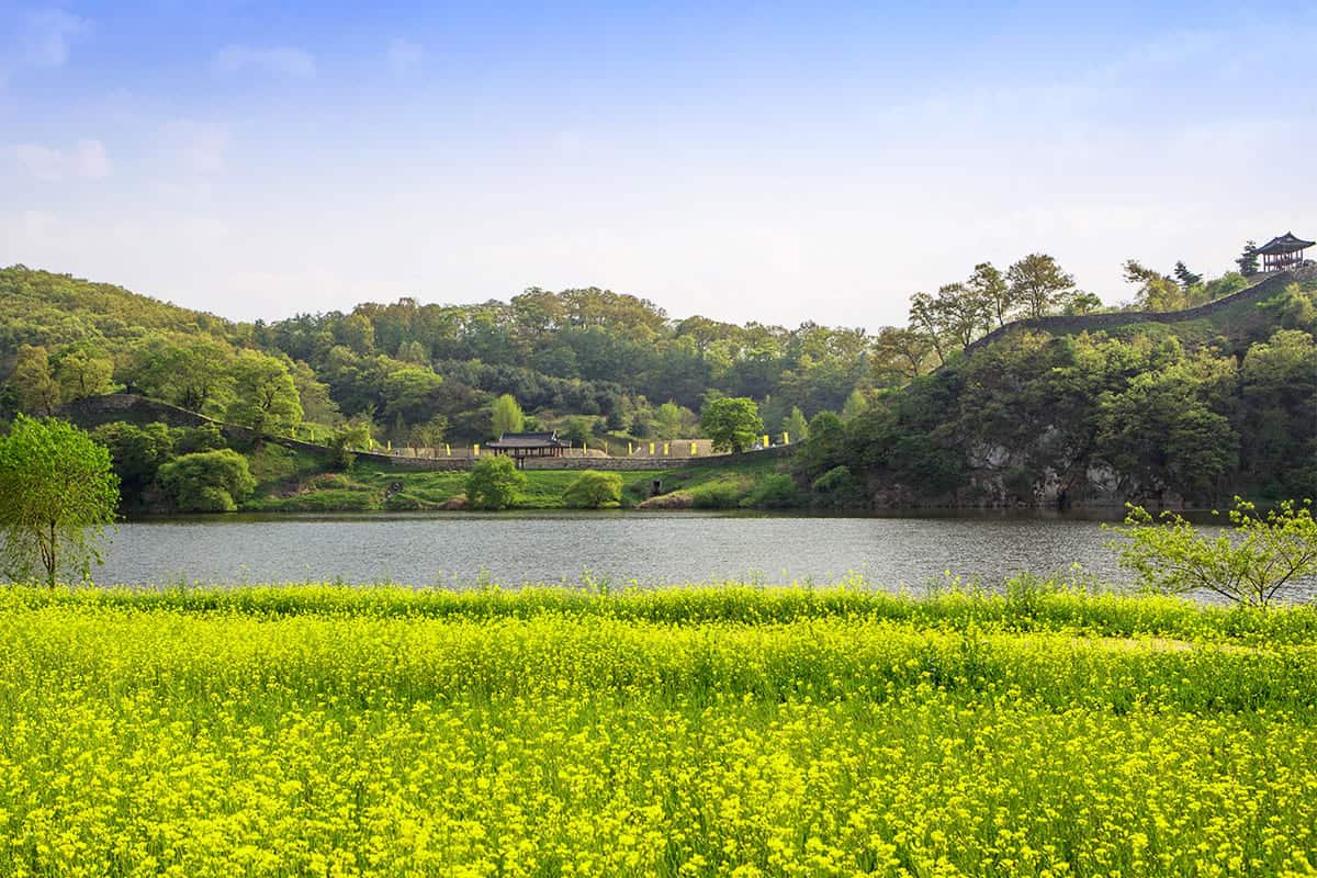 공주 공산성 봄 공주 공산성 봄