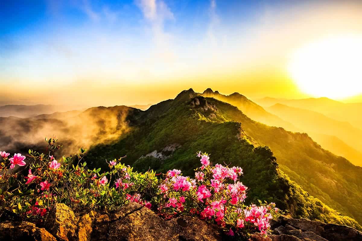 공주 계룡산 공주 계룡산