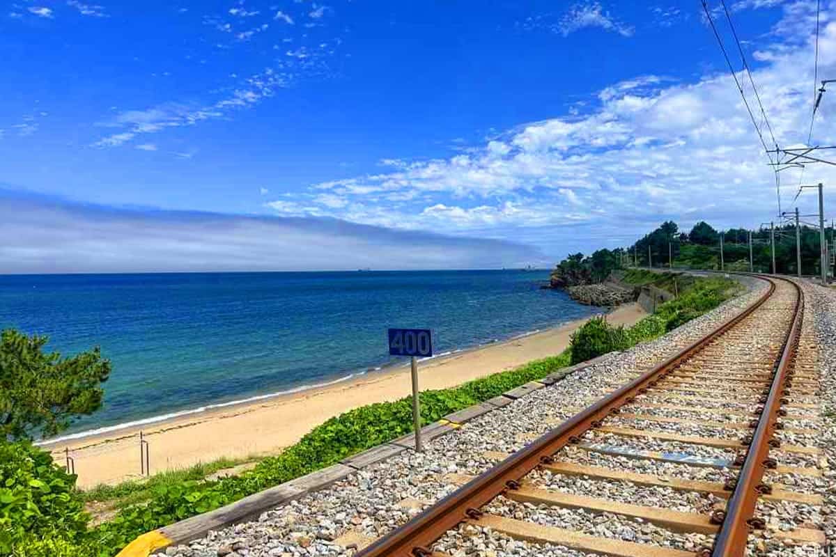 하평해변 기찻길 하평해변 기찻길