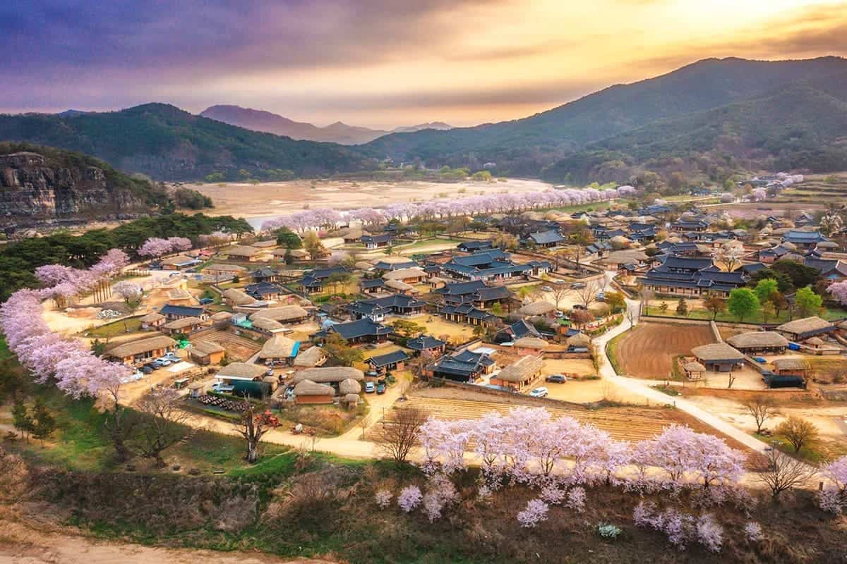 안동 하회마을 봄 안동 하회마을 봄
