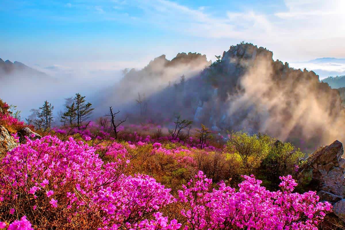 주작산 운해