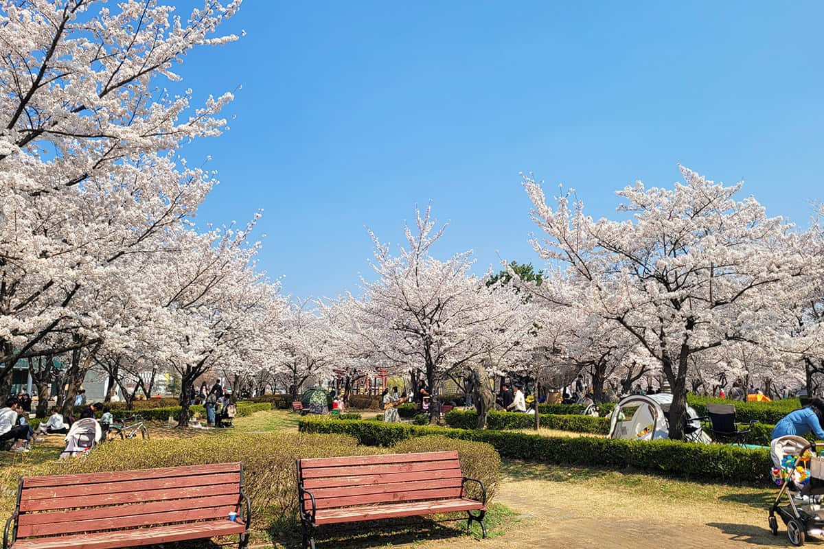 안산 화랑유원지 안산 화랑유원지