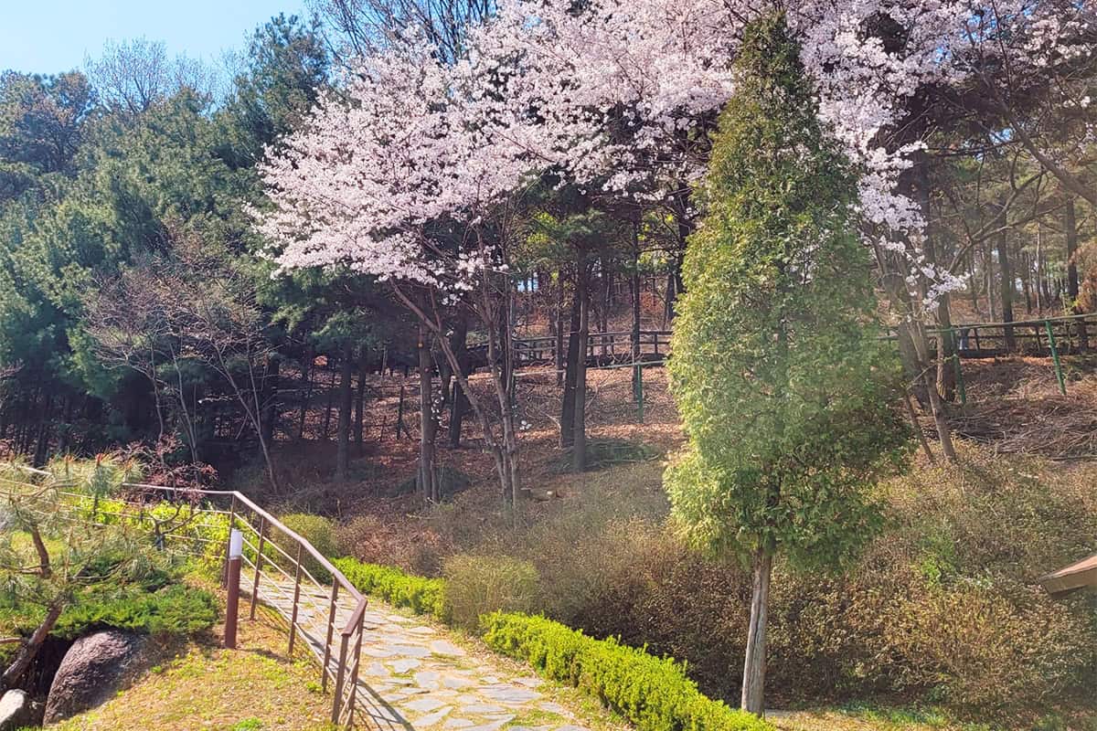 안산 노적봉 공원 안산 노적봉 공원