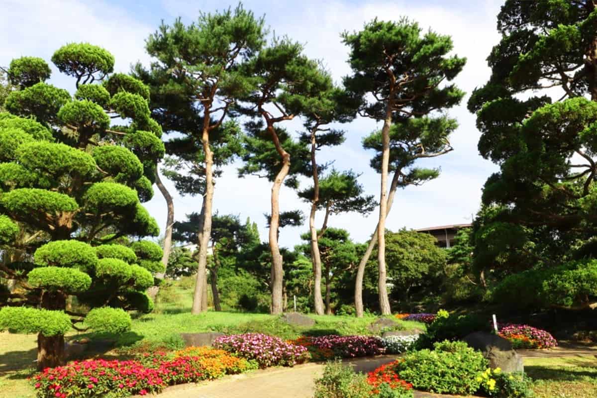 홍성 그림같은 수목원 풍경 홍성 그림같은 수목원 풍경